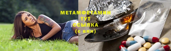 гидра Алексин