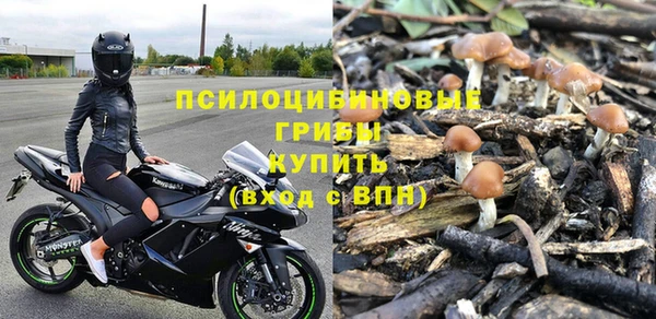 гидра Алексин