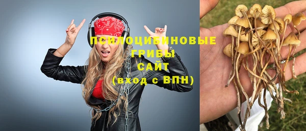 амфетамин Алексеевка
